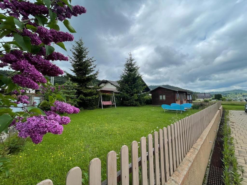 Pensiunea Gentiana Ватра-Дорней Экстерьер фото
